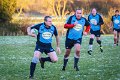 Monaghan Legends V Perennials (24)